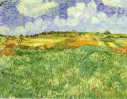 Plain Near Auvers Vincent Van Gogh